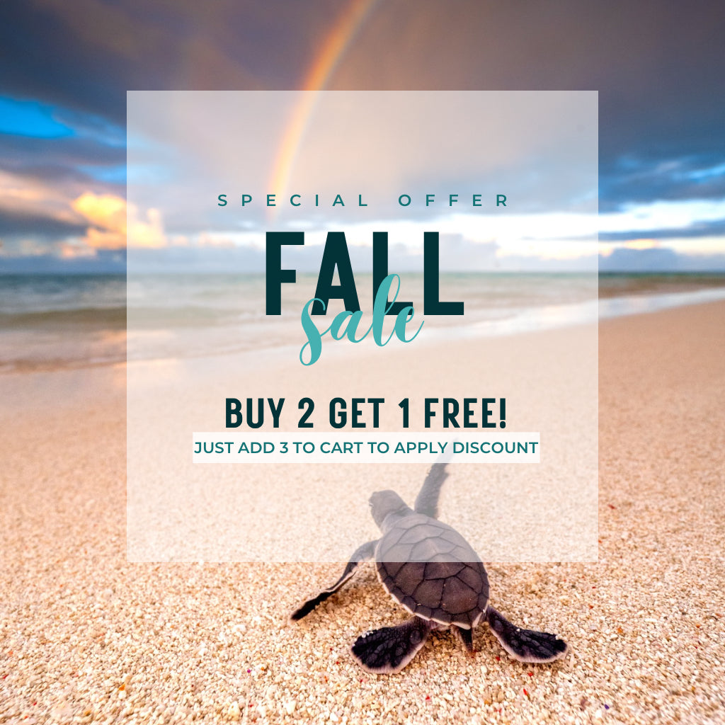 Fall Sale - Buy 2 Get 1 Free