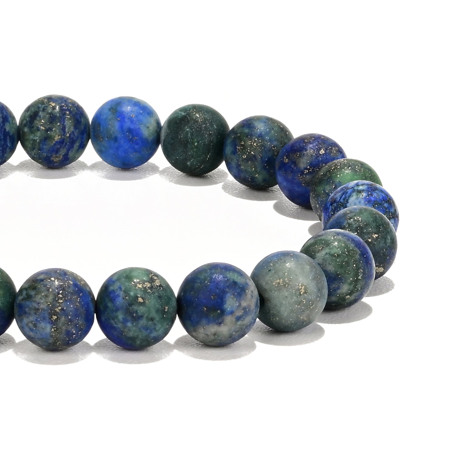 Sea Turtle Tracking Bracelet - Explorer