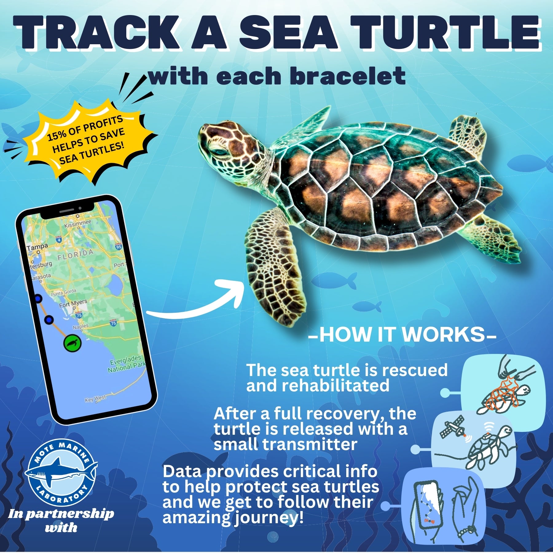 KoaKoa Classic Sea Turtle Tracking Bracelet – KoaKoa.life